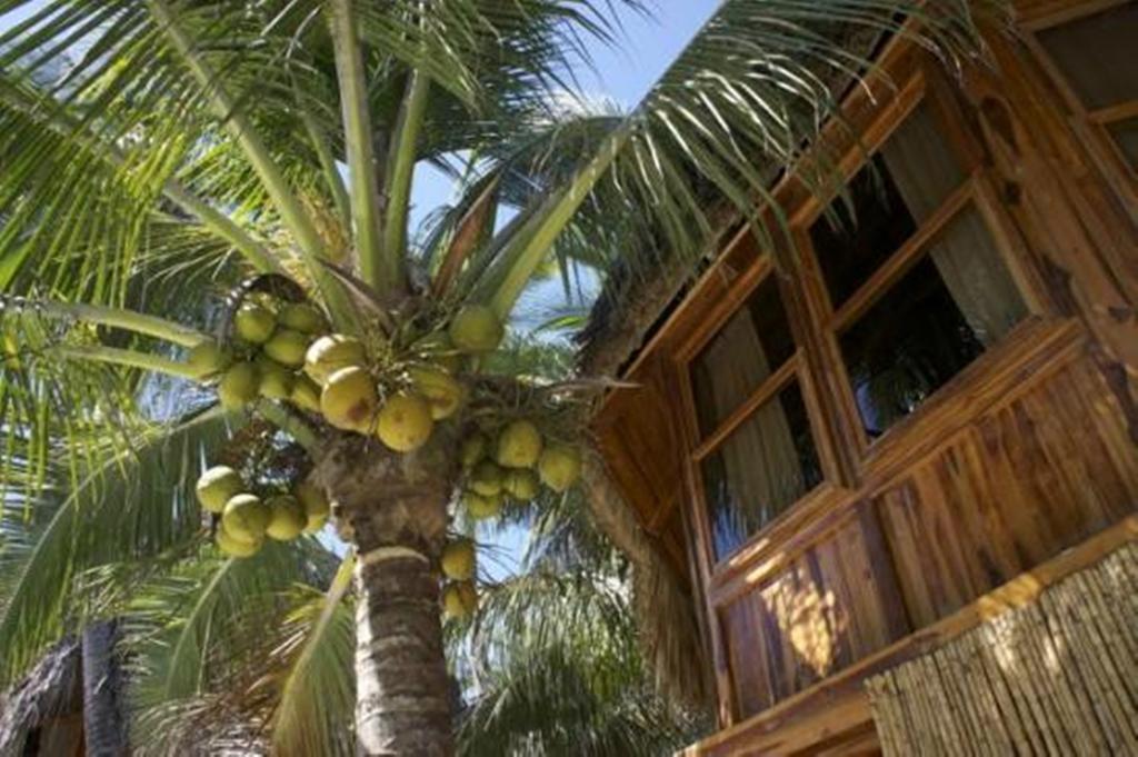 Hotel Tortuga Village San Luis La Herradura Bagian luar foto